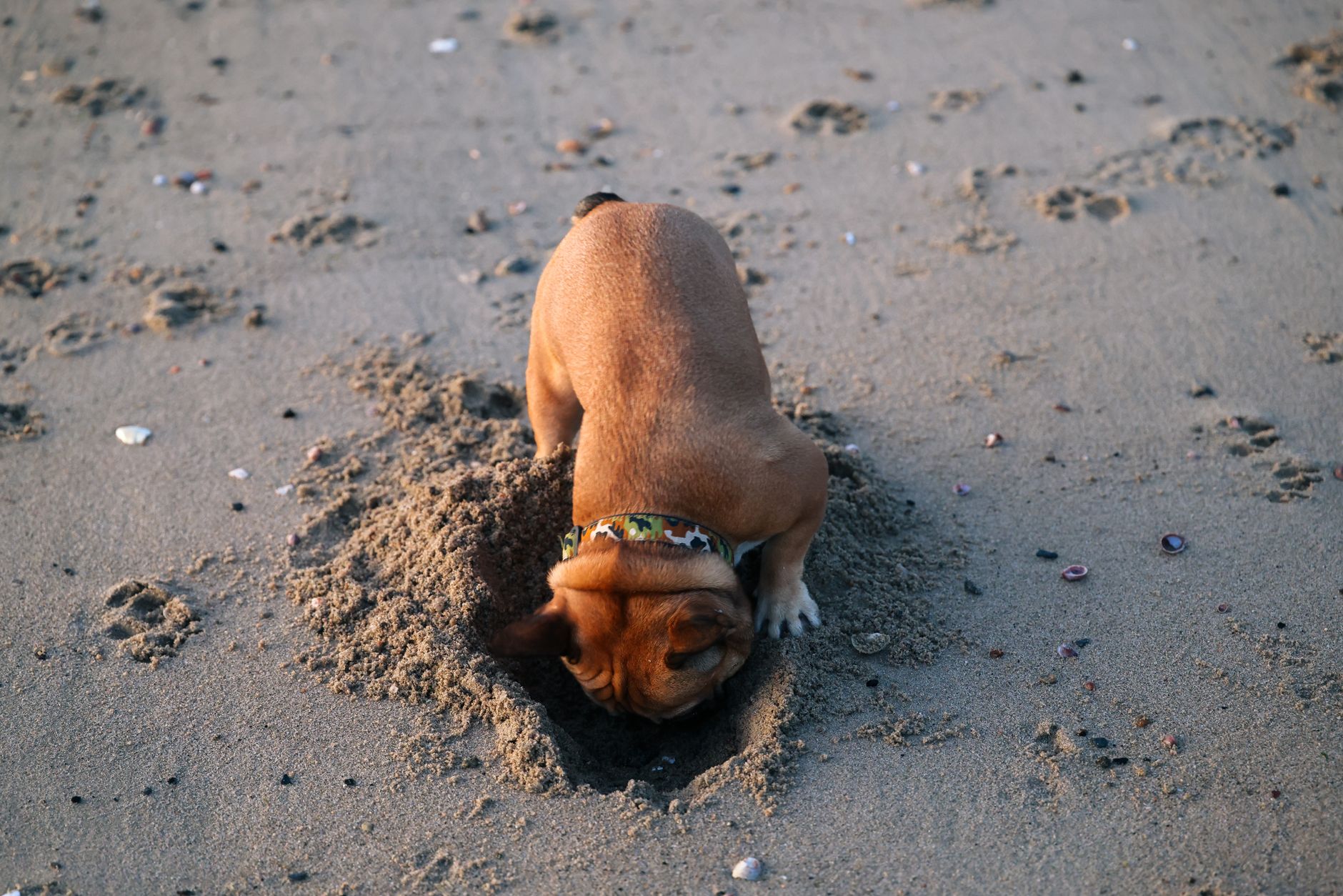 A stray commit buried multiple levels deep cost me months