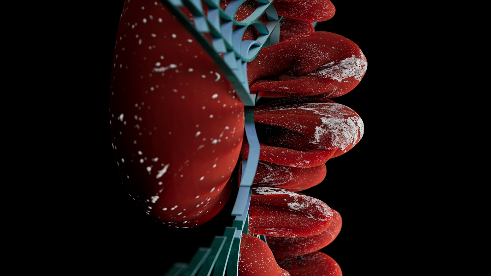 Blood cells from 80-year-old donor become stem cells with molecular age under 20