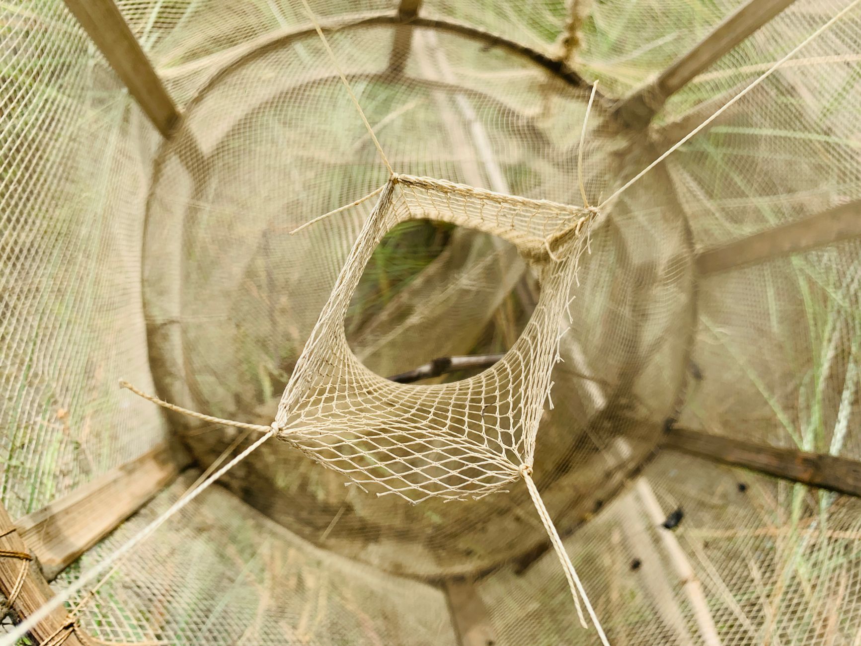 Let Them Steal: Trapping Large Language Model Extraction Attacks with Knowledge Honeypot