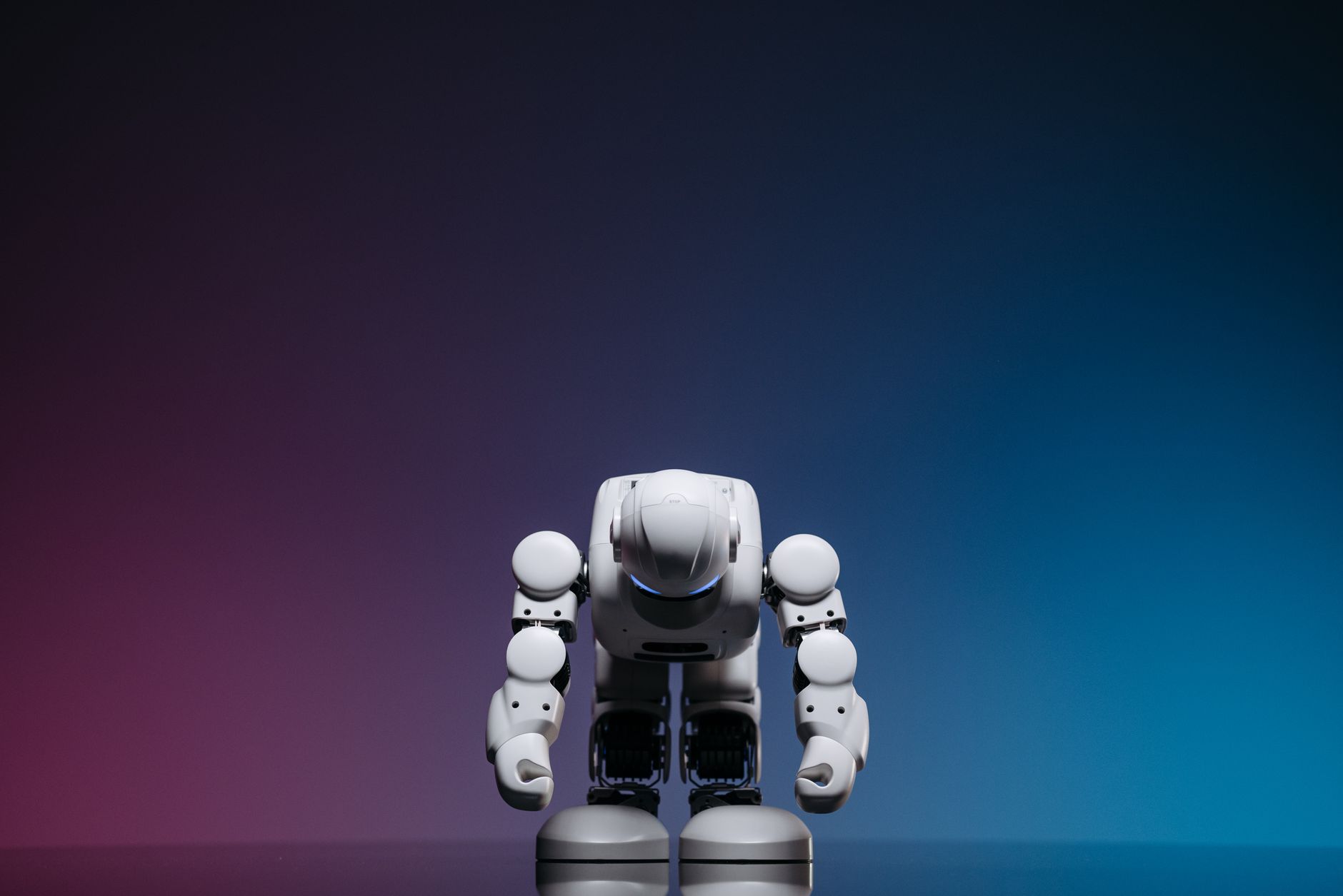 RoboJEPA: Scaling Robotic Latent World Models