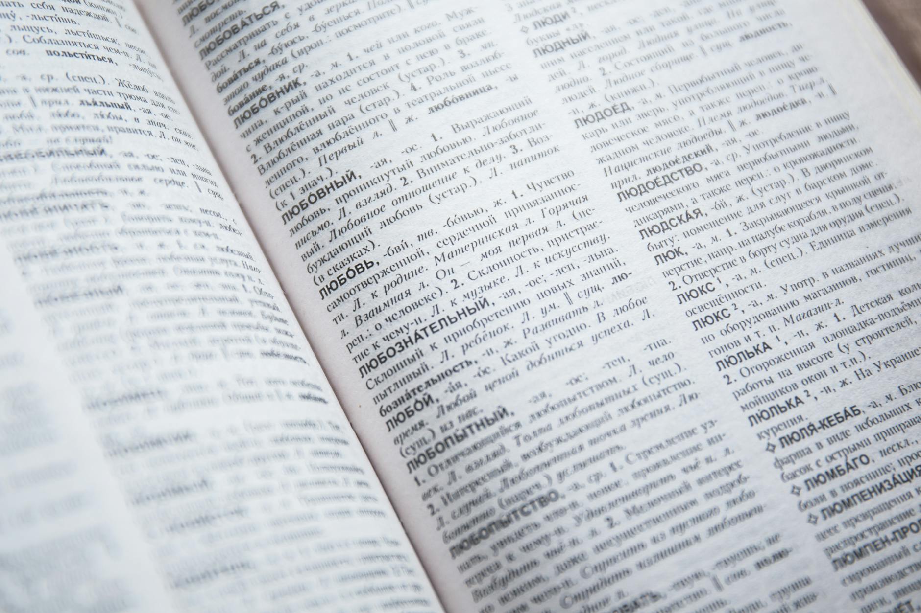 RunAgent: Interpreting Natural-Language Plans with Constraint-Guided Execution