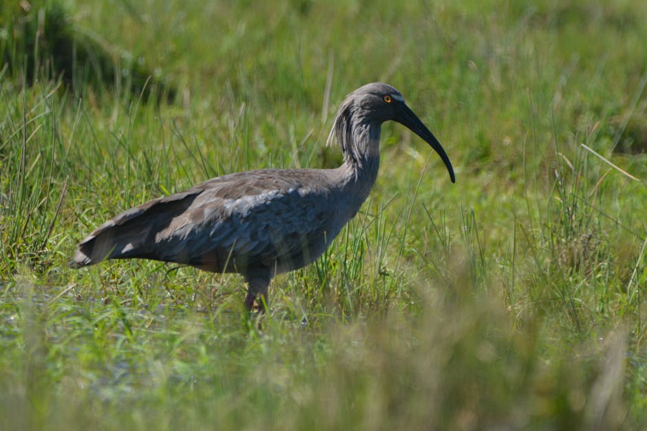 Negociação entre EUA e Irã empaca e Petróleo Brent encosta nos US$ 100