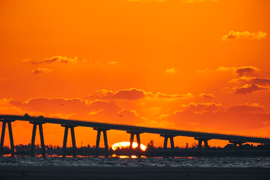 Who Killed the Florida Orange?