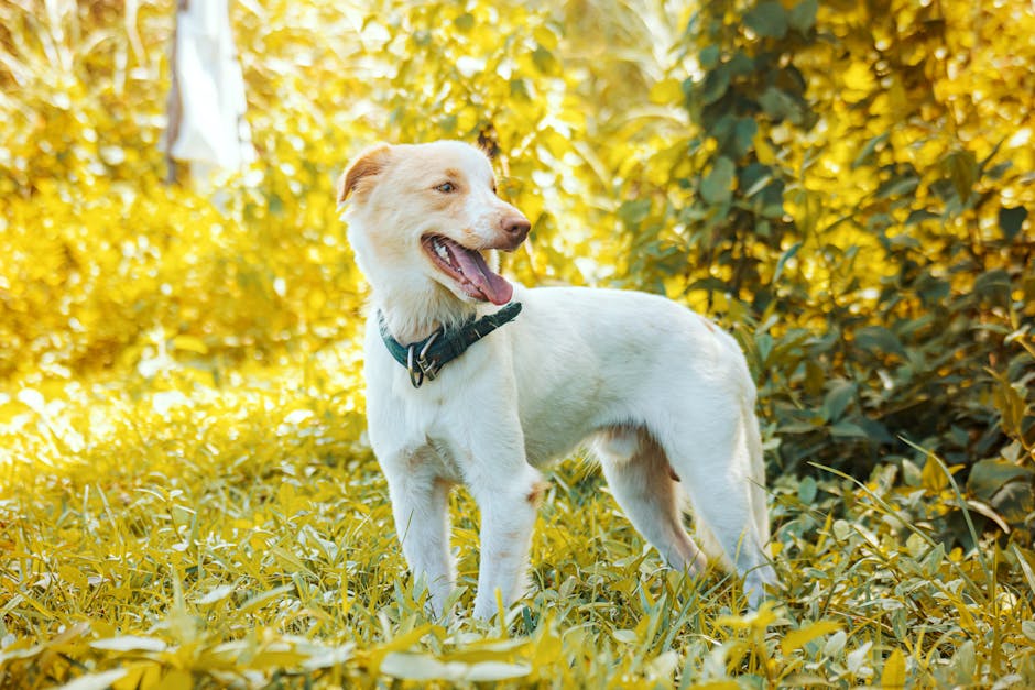 Uma falha de segurança da Lovable pode colocar em risco as maiores empresas de tecnologia?