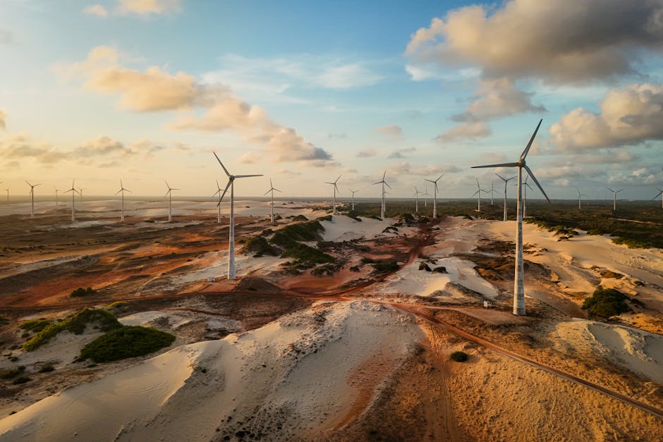 Energia eólica cresce 40% e bate recorde enquanto mundo busca saída da crise energética