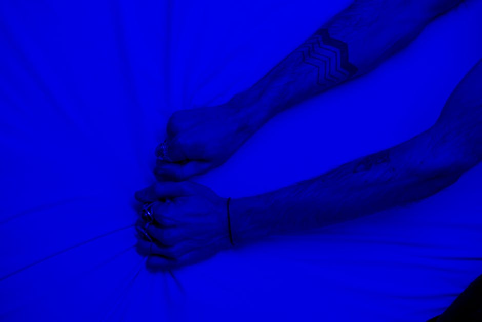 A ciência revela o que realmente aproxima cães e tutores