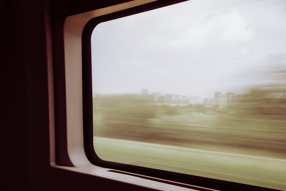 Seeing Fast and Slow: Learning the Flow of Time in Videos