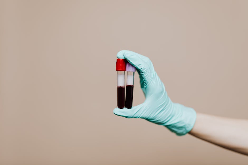 Exame de sangue de rotina pode prever risco de Alzheimer