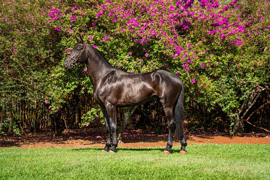 Paraíba cria 'criptomoeda fotovoltaica' para recompensa de energia solar
