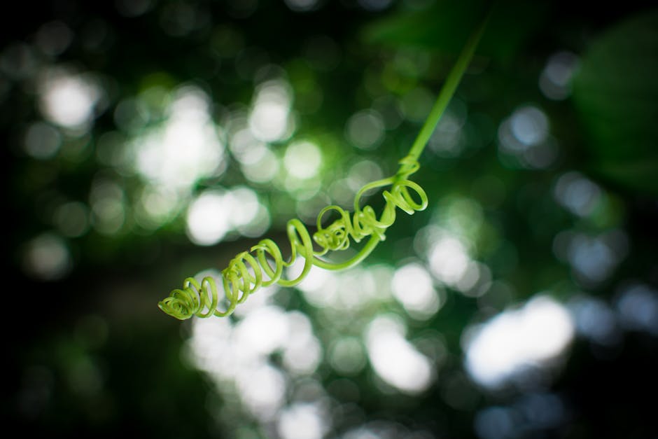 Tendril – a self-extending agent that builds and registers its own tools