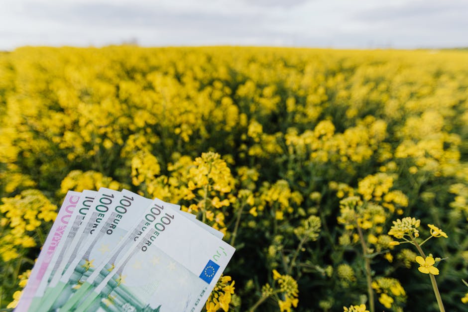 Western Union lançará stablecoin na Solana como alternativa ao Swift