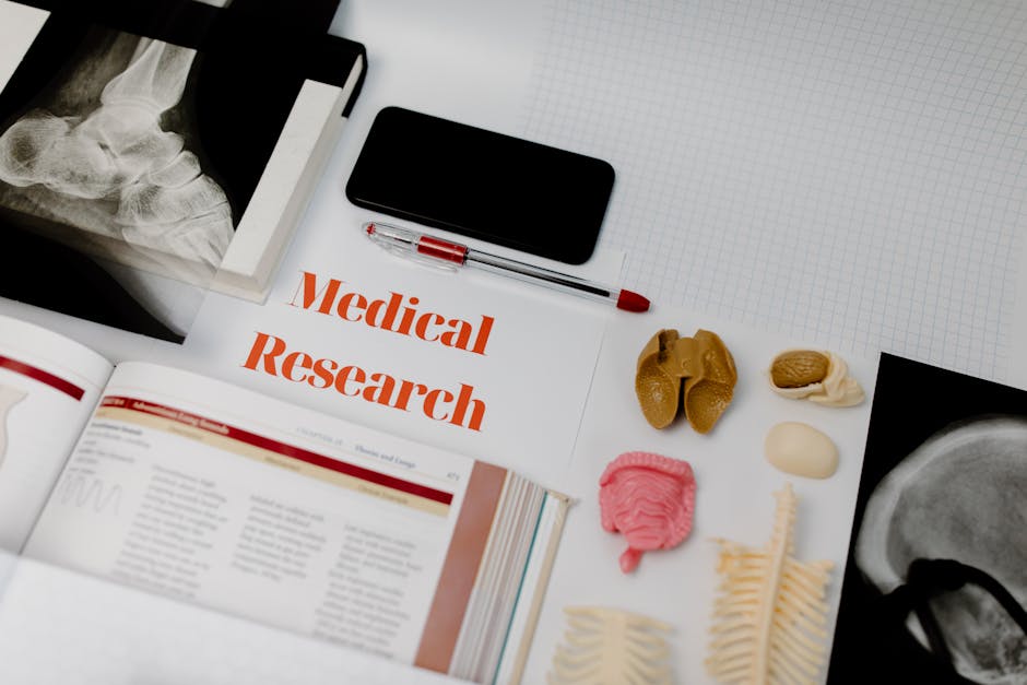 A Clinical Study of Gocatamig (MK-6070) and Infinatamab Deruxtecan (MK-2400) in People With Small Cell Lung Cancer (MK-6070-003)