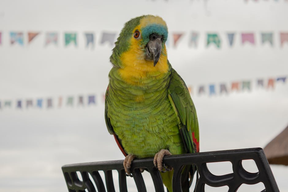 O detalhe inesperado no balanço da Apple: MacBooks voltaram a ser 'cool'
