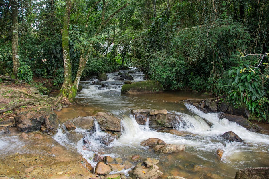 Chuvas em Pernambuco: governo decreta emergência em 27 cidades