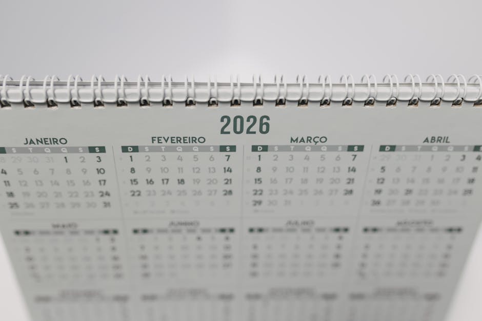Álbum da Copa 2026: veja como comprar figurinhas faltantes no site da Panini