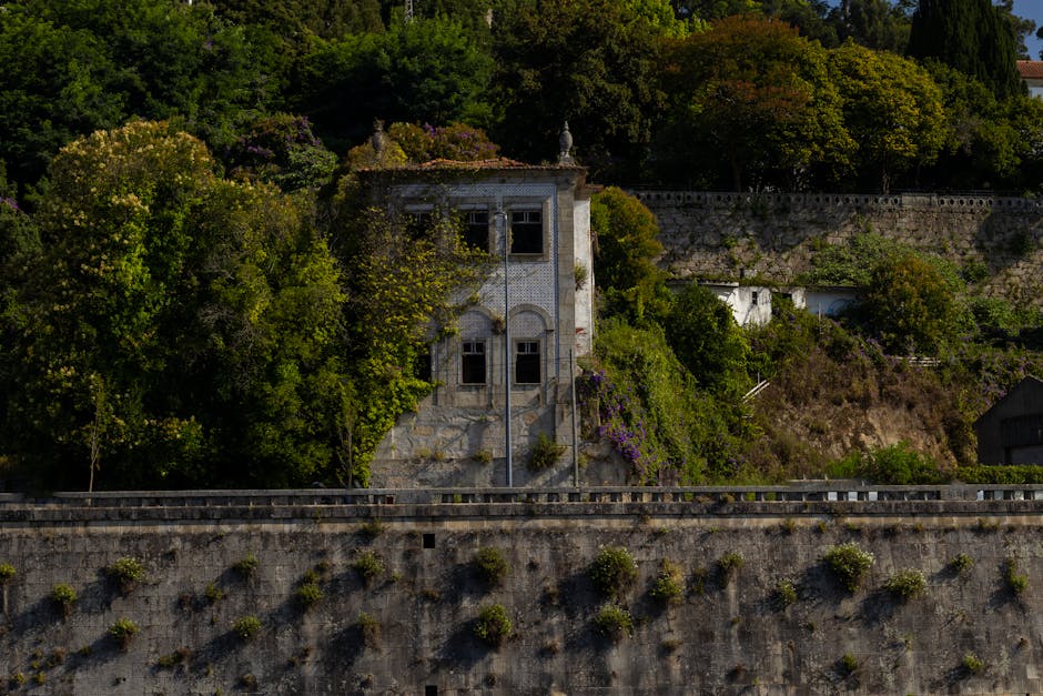 Casa Branca avalia supervisão federal de IA após alerta sobre riscos cibernéticos