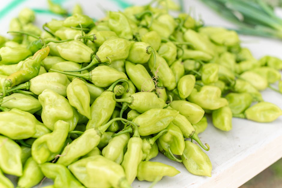 Venom and Hot Peppers Offer a Key to Killing Resistant Bacteria