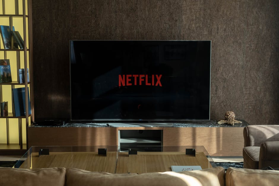 Por que o Texas processou a Netflix?