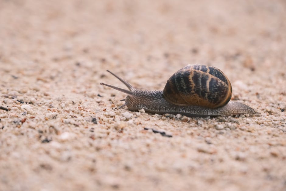 Learning, Fast and Slow: Towards LLMs That Adapt Continually
