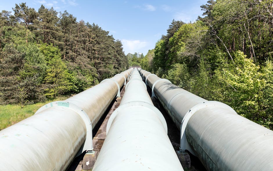 A Readiness-Driven Runtime for Pipeline-Parallel Training under Runtime Variability