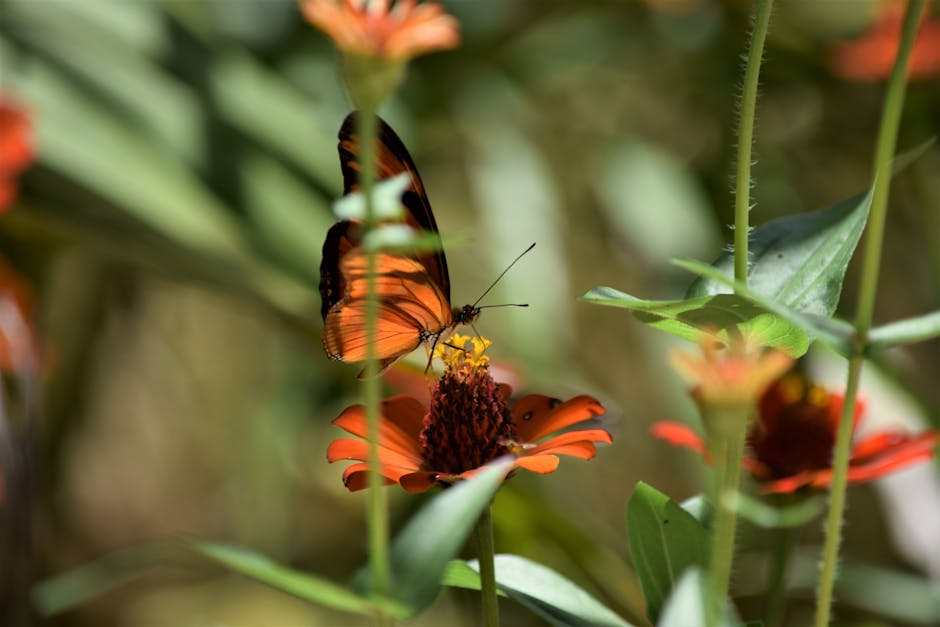 A televisão brasileira entra na era da interatividade