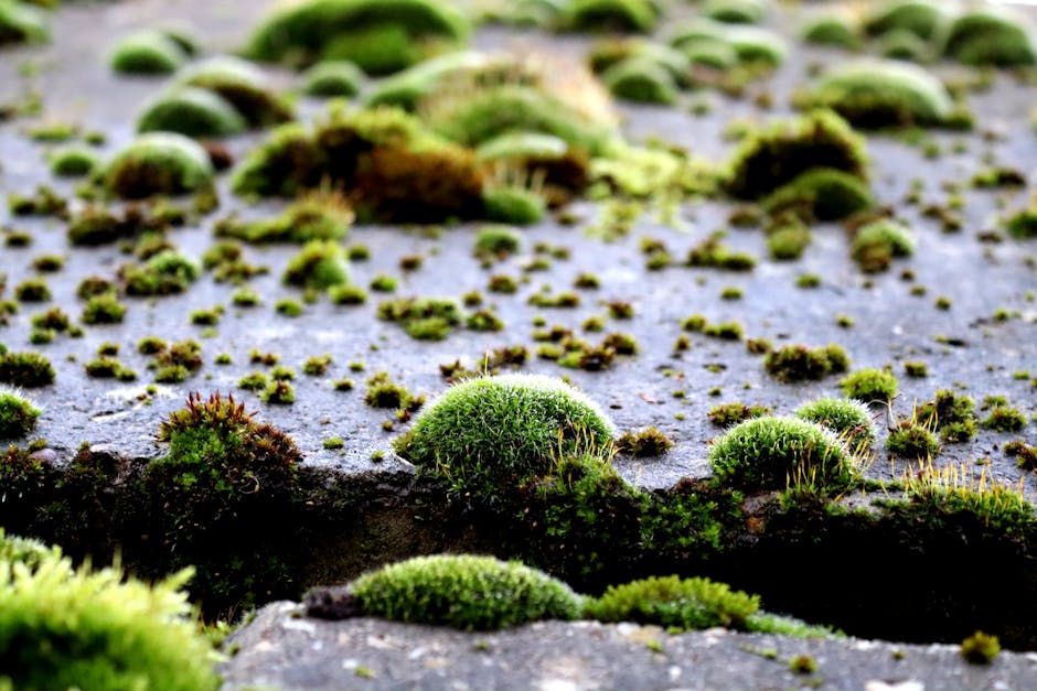 MOSS: Self-Evolution through Source-Level Rewriting in Autonomous Agent Systems
