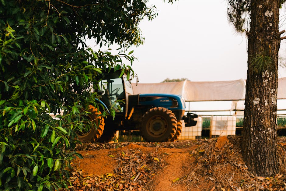 Exclusivo: Farm Rio acelera expansão internacional com lojas de verão na Europa