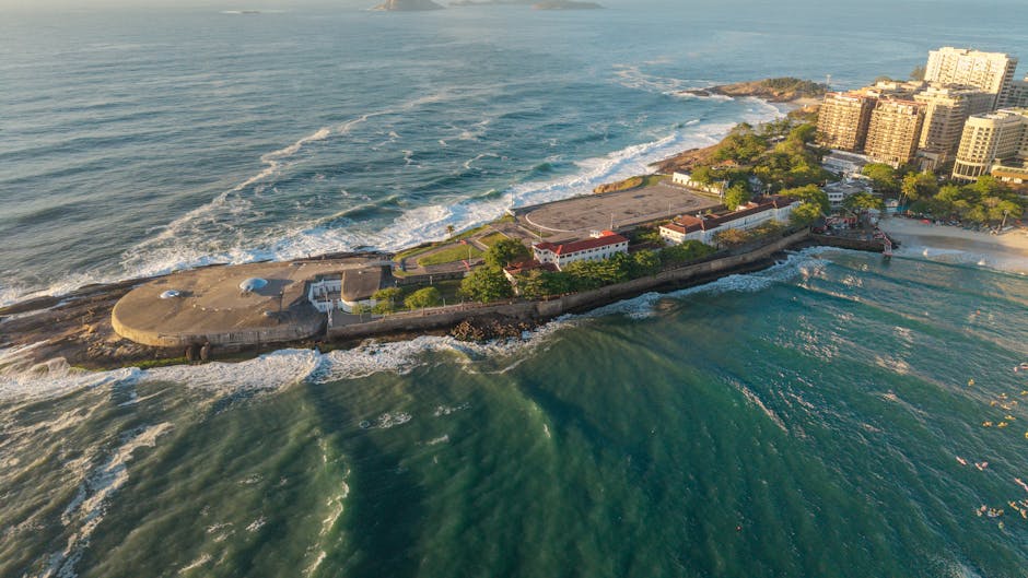 Brasil quer liderar a bioeconomia, mas biodiversidade ainda é prioridade para apenas 8% das empresas