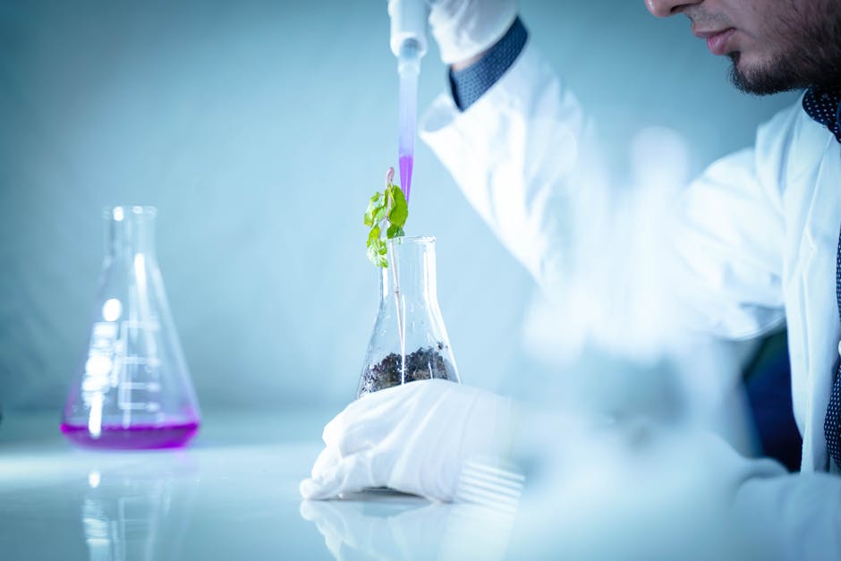 Biotecnologia reúne cientistas e investidores globais em Florianópolis