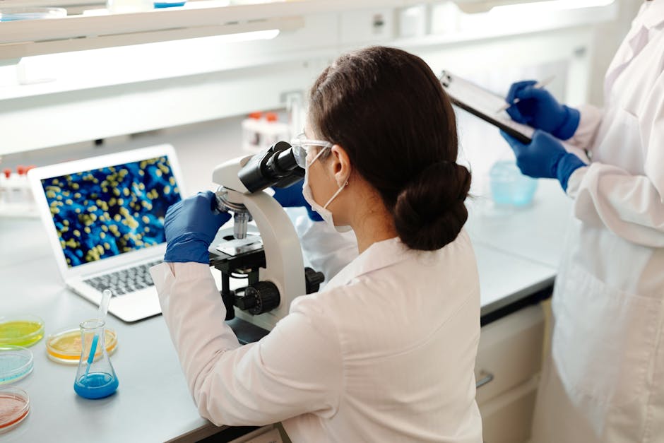 A Clinical Study of Molnupiravir to Prevent Severe Illness From Coronavirus Disease 2019 (COVID-19) in People Who Are High Risk (MK-4482-023)