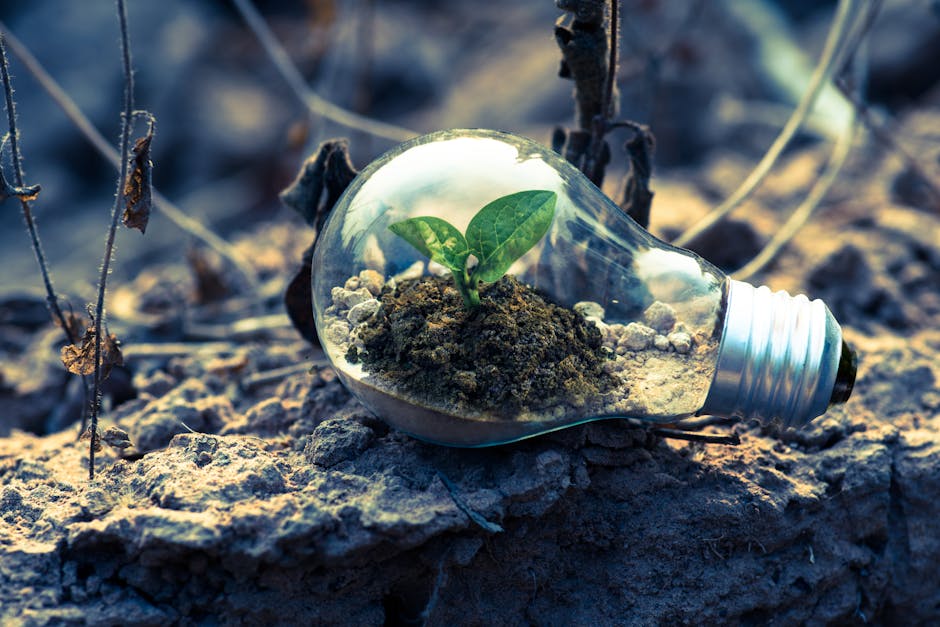 Bioeconomia: como transformar a biodiversidade brasileira em desenvolvimento?