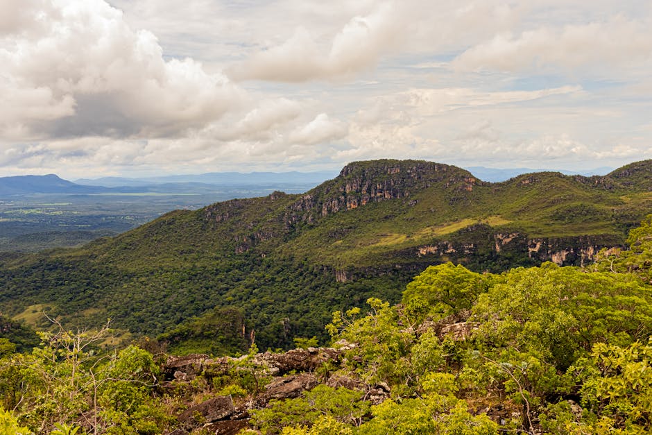 Chapada dos Veadeiros ganha trilha noturna para observação das estrelas