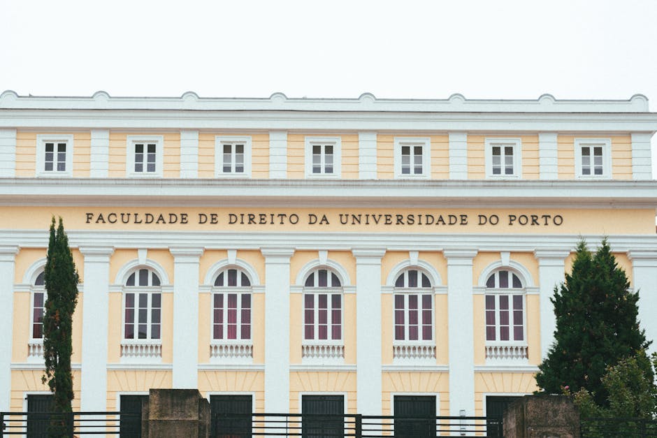 Faculdade, curso e salário: o que realmente importa para uma carreira de sucesso?