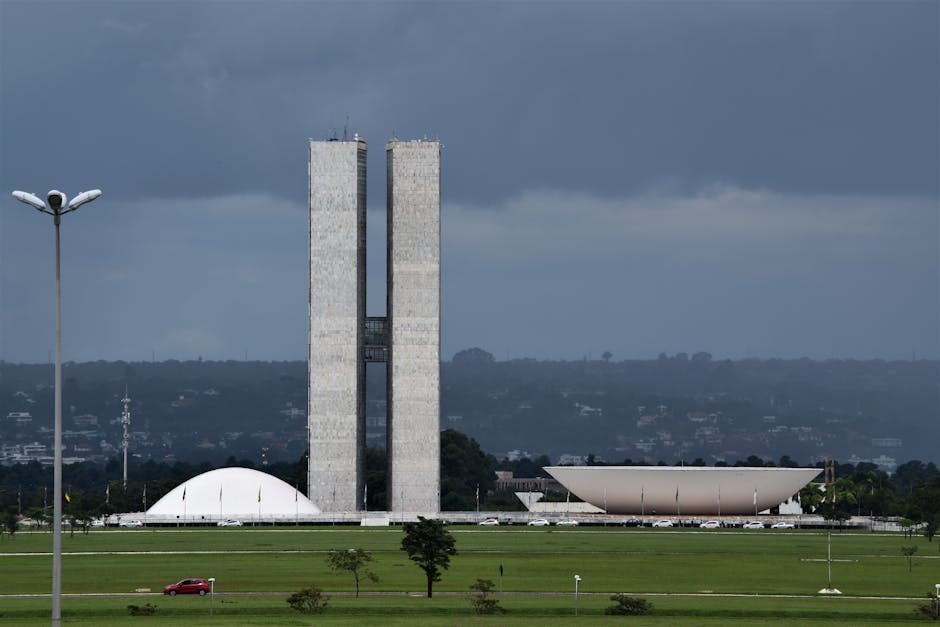 Governo Federal lança Tela Brasil, nova plataforma gratuita de streaming