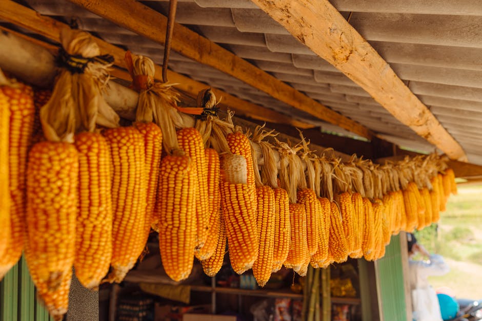 Exportações de máquinas agrícolas da China disparam em 2026