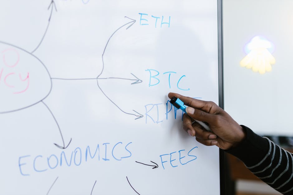 Rede blockchain do governo brasileiro ganha site e coordenação descentralizada