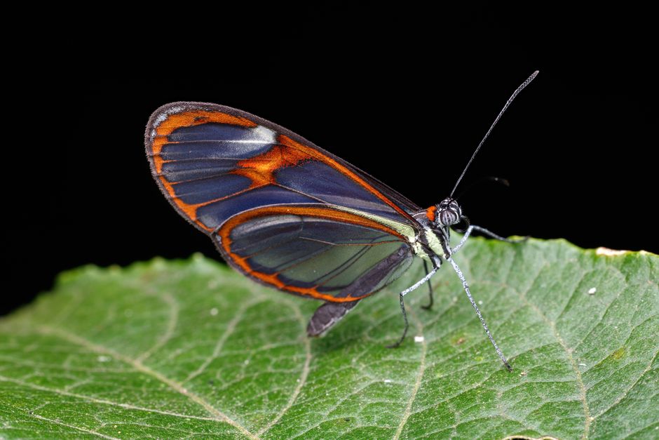 Anthropic's Project Glasswing Update