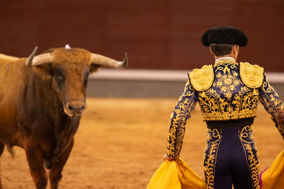 A corrida que mudou a Vulcabras: como a dona da Olympikus saiu da dívida e chegou a R$ 4 bilhões
