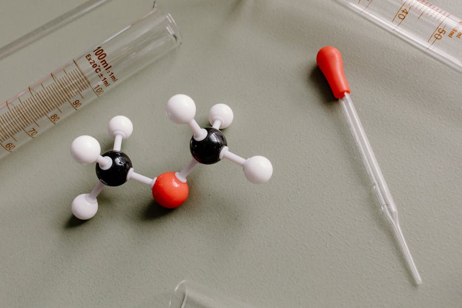 Forever Young: how one molecule can lock plants in a youthful state.(2025)
