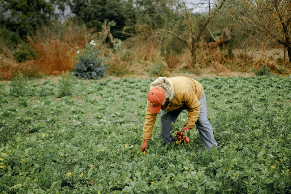 Farmer donates land for a park, city sells it for $10M as data center land