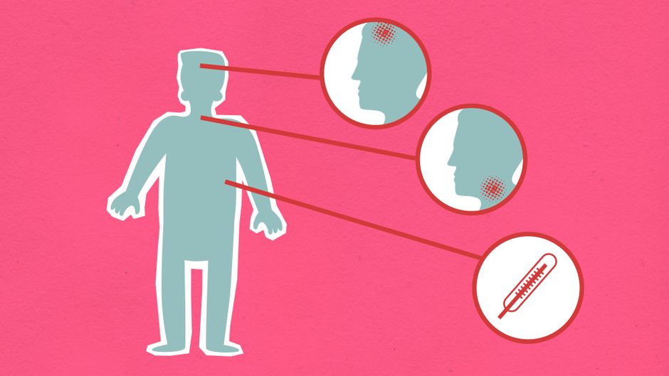 Febre da proteína: estudo revela o que realmente importa para emagrecer