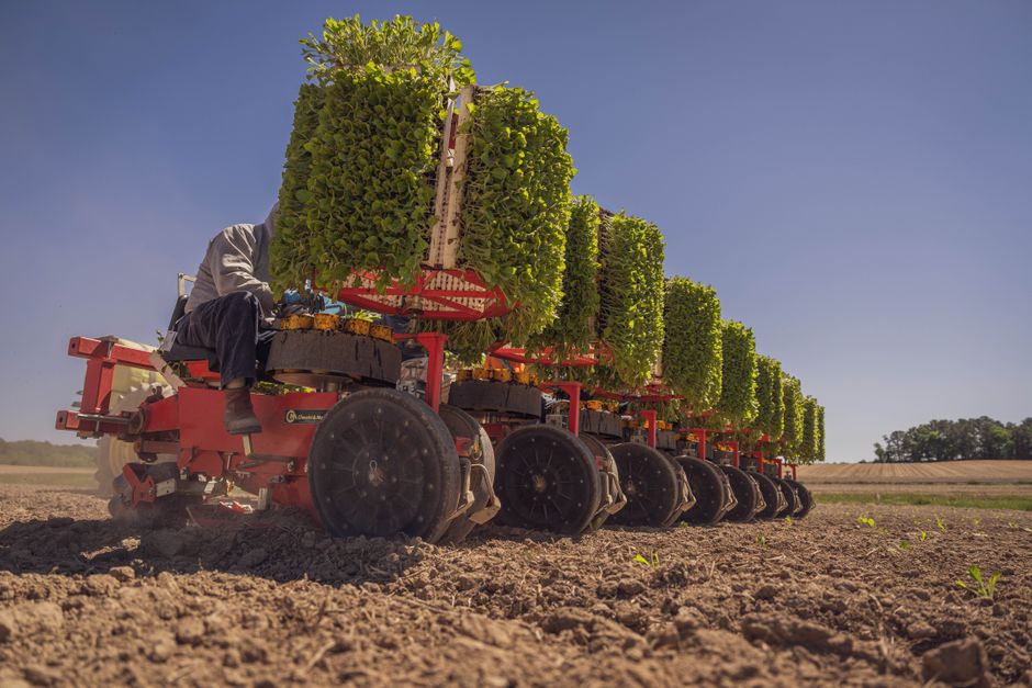 SuperAgro 2026 chega a São Paulo para debater o futuro do agronegócio