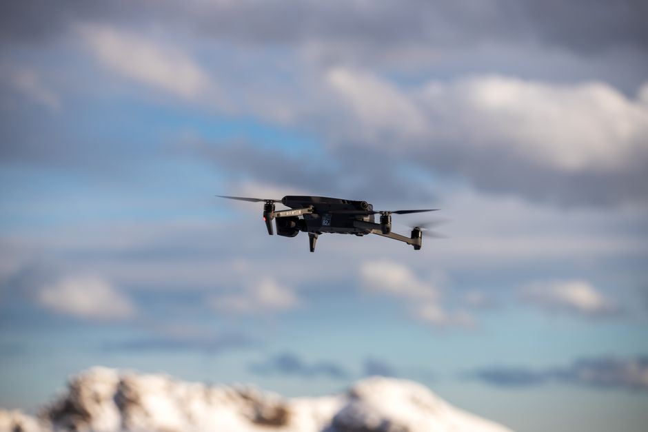 GPS natural? Drone mostra precisão impressionante da rota de voo das abelhas