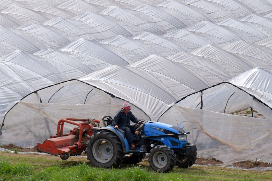 Como o agro virou moeda de troca nas negociações entre Trump e o Irã