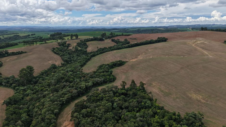 Fim do desmatamento não precisa esperar pelo mapa do caminho da COP30