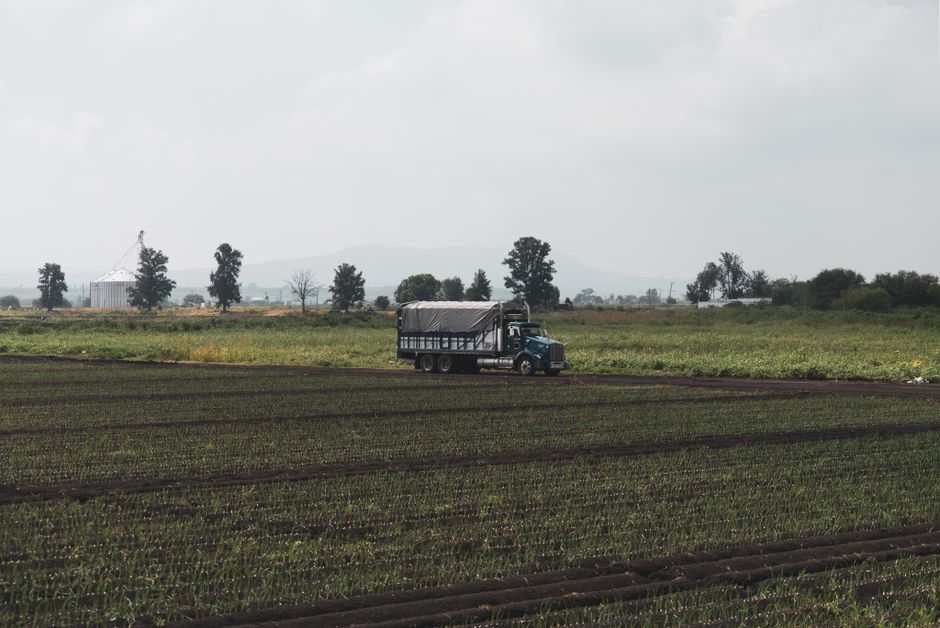 Agro, alimentos e empresas: quem perde e quem ganha com o El Niño