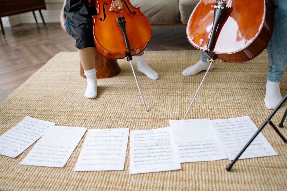DataOrchestra: Learning to Orchestrate Per-Example Curation of Pretraining Data
