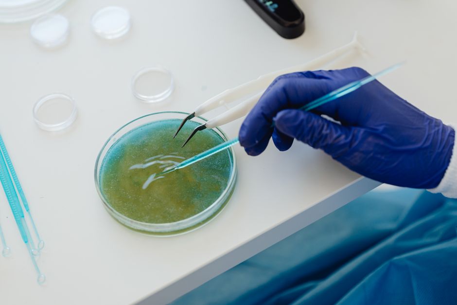 Watch AI materials-science and bioscience abilities closely