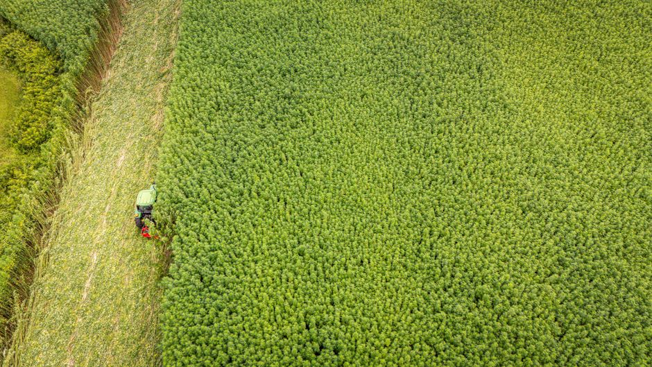 Syngenta entra com pedido de IPO para levantar ao menos US$5 bi, dizem fontes