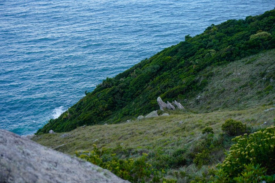 Dia D para o turismo de eventos em Florianópolis: leilão define futuro do CentroSul